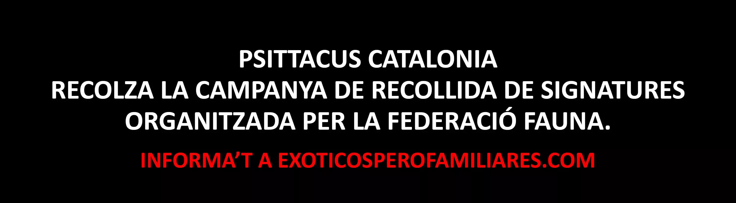 psittacus-header-image