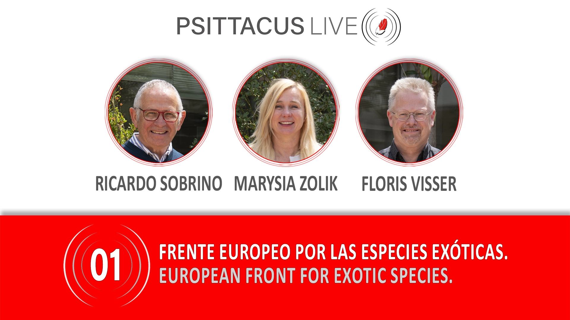La Fundació Psittacus activa PSITTACUS LIVE