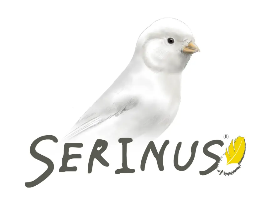 serinus